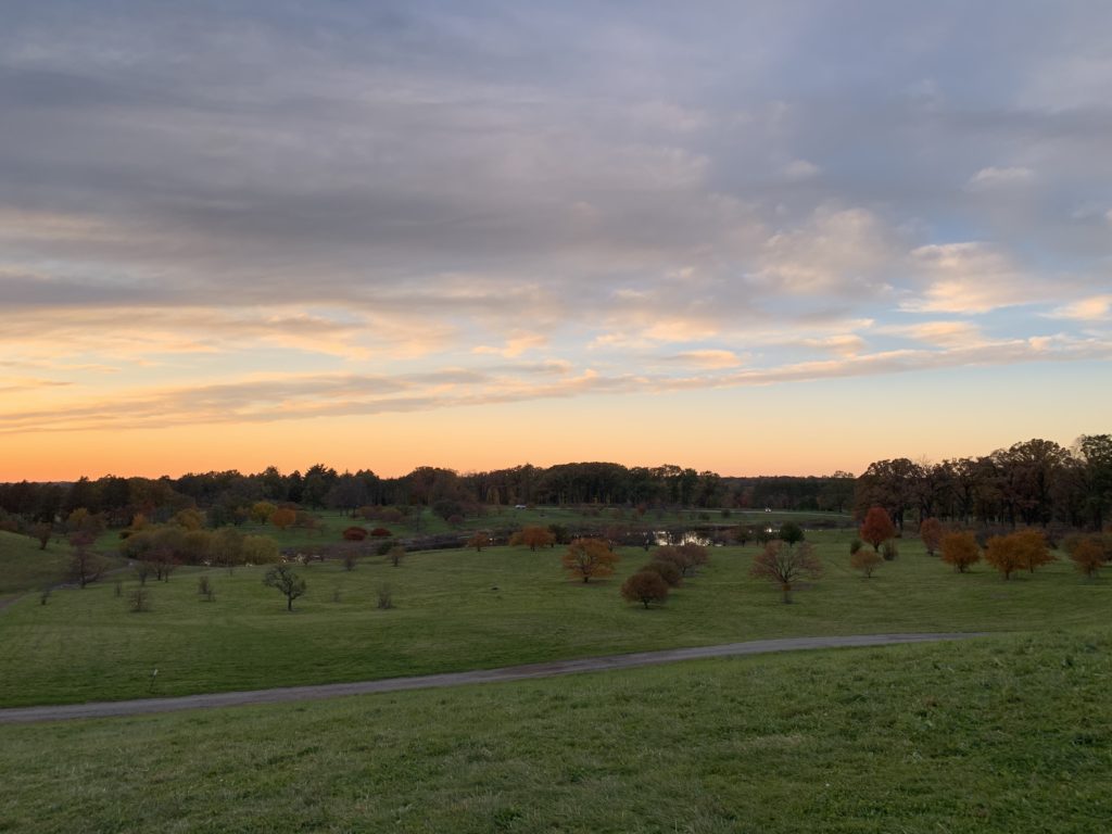 Lisle Morton Arboretum